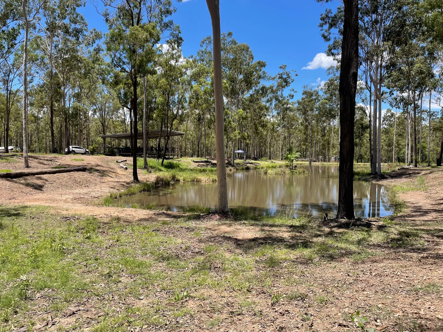 Additional image 11 of 264 Cooks Road, South Isis QLD 4660