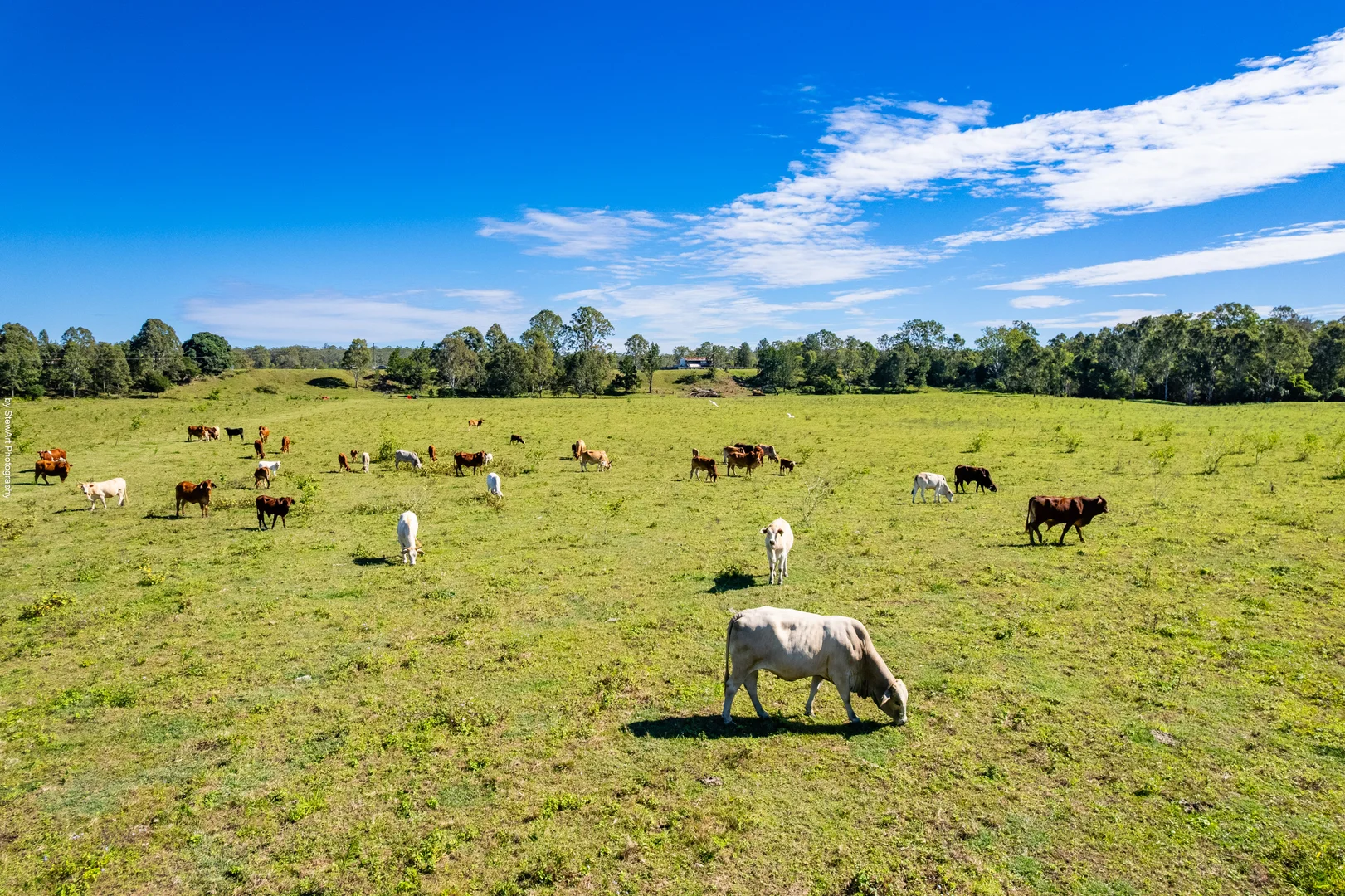 Additional image 25 of 2331 Mungar Road, Tiaro QLD 4650