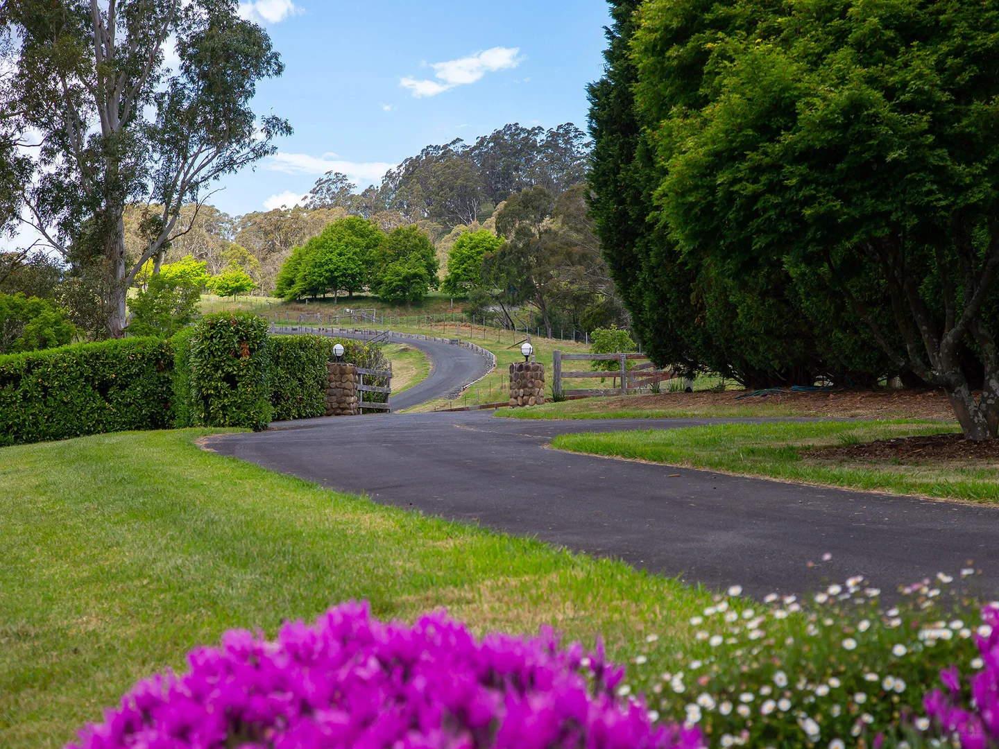 Additional image 38 of 'Grasmere Farm' 294 Meryla Road, Moss Vale NSW 2577