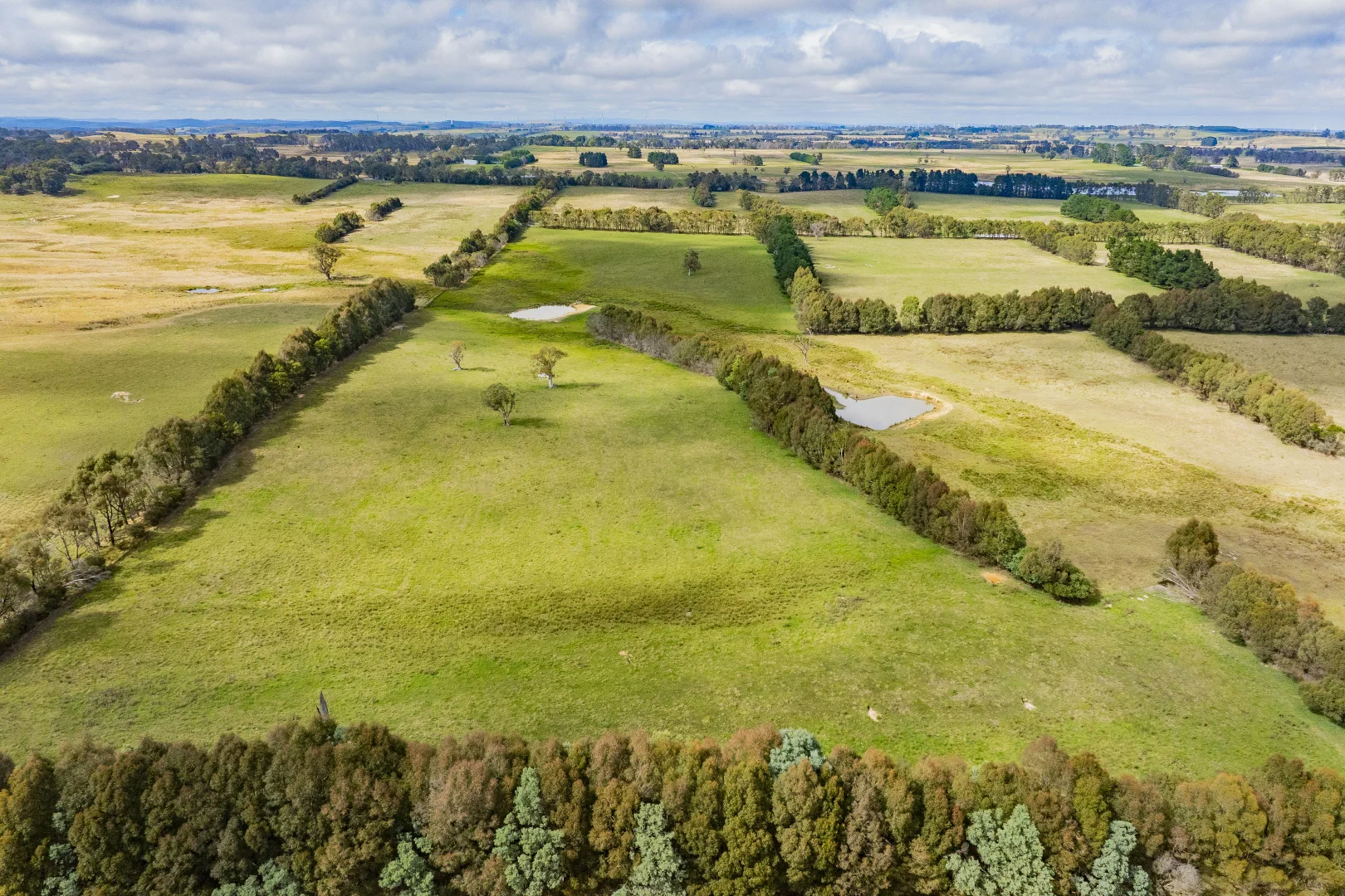 Additional image 23 of 251 Mount Rae Road, Roslyn NSW 2580