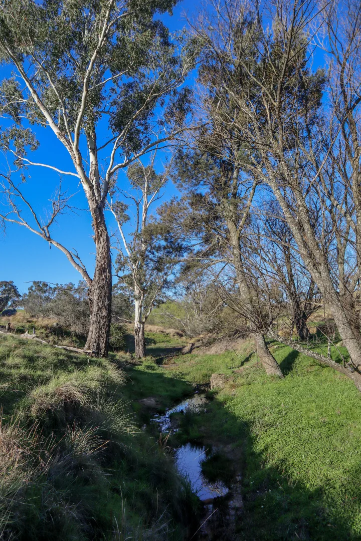 Additional image 19 of "Bonna"  1 Haidee Street, Bendemeer NSW 2355