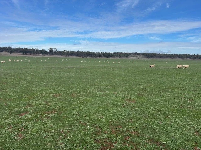 Additional image 8 of 418 Donaldsons Road, Corbie Hill NSW 2705