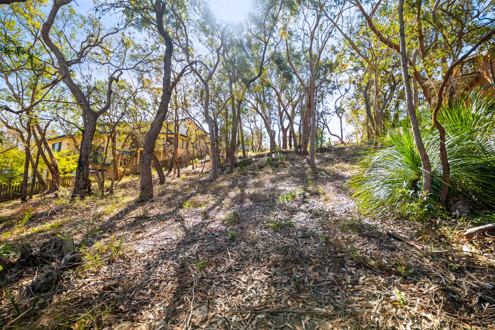 Additional image 8 of 30 Chapman Avenue, Linden NSW 2778