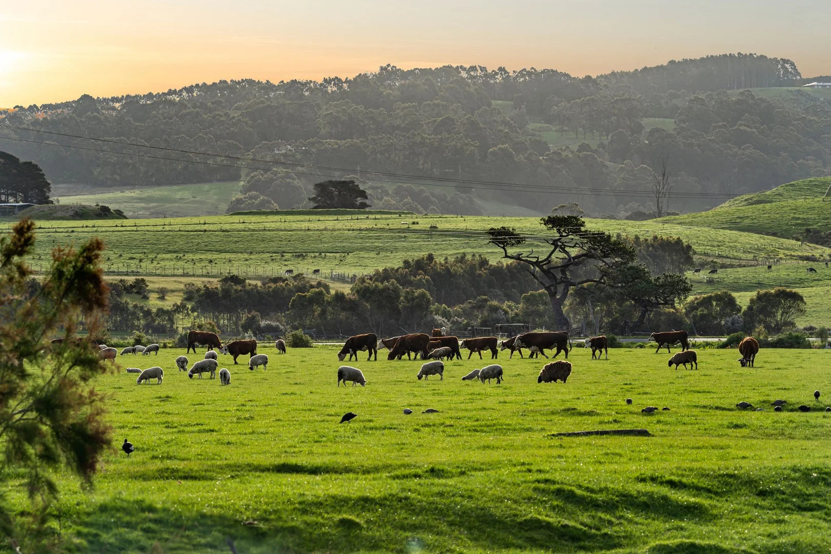Additional image 12 of 80 Great Ocean Road, Apollo Bay VIC 3233