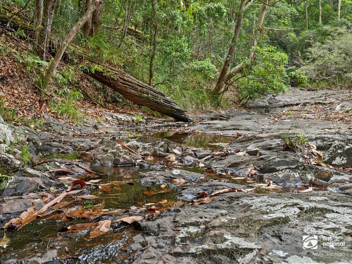 Additional image 6 of 563 Commissioners Creek Road, Commissioners Creek NSW 2484