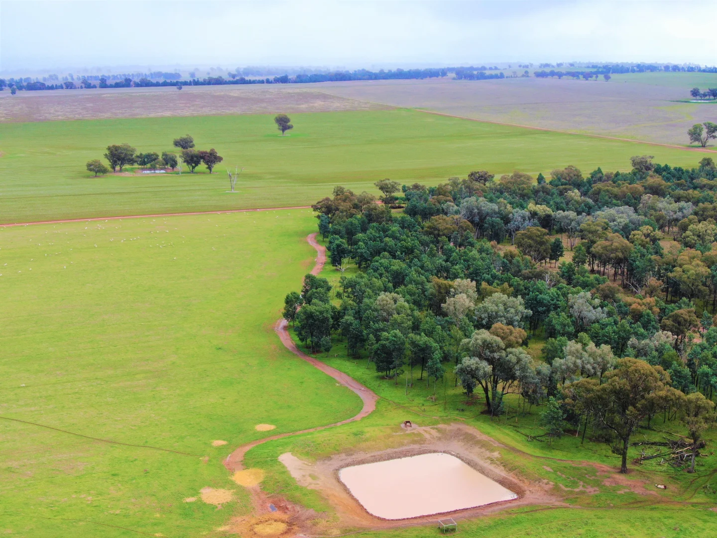 Additional image 3 of 2648 Old Narrandera Road, Currawarna NSW 2650
