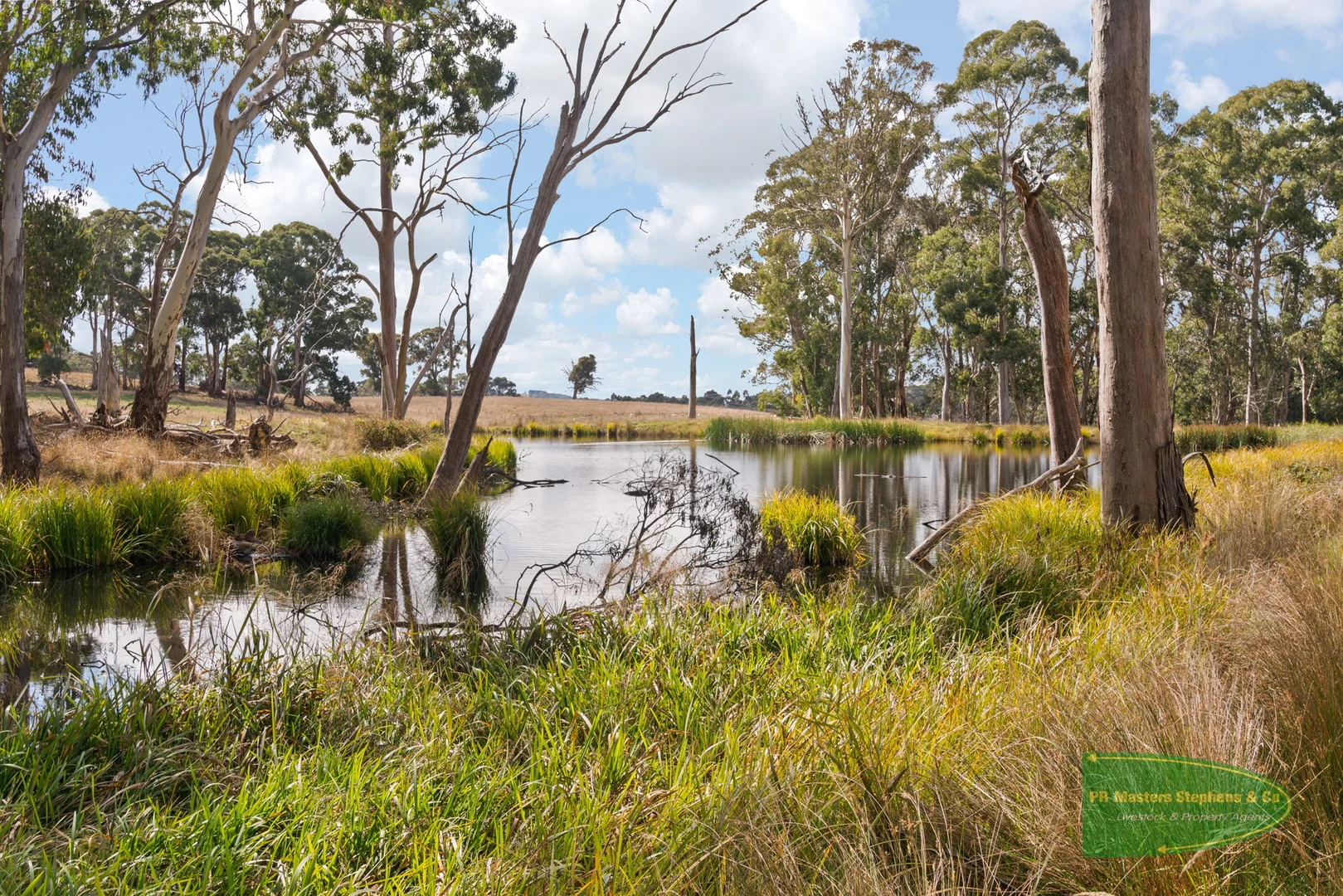 Additional image 31 of 800 Riverview Forest Road, Mozart NSW 2787