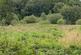 Additional image 10 of Teifi Valley, Close to Llandysul and Newcastle Emlyn
