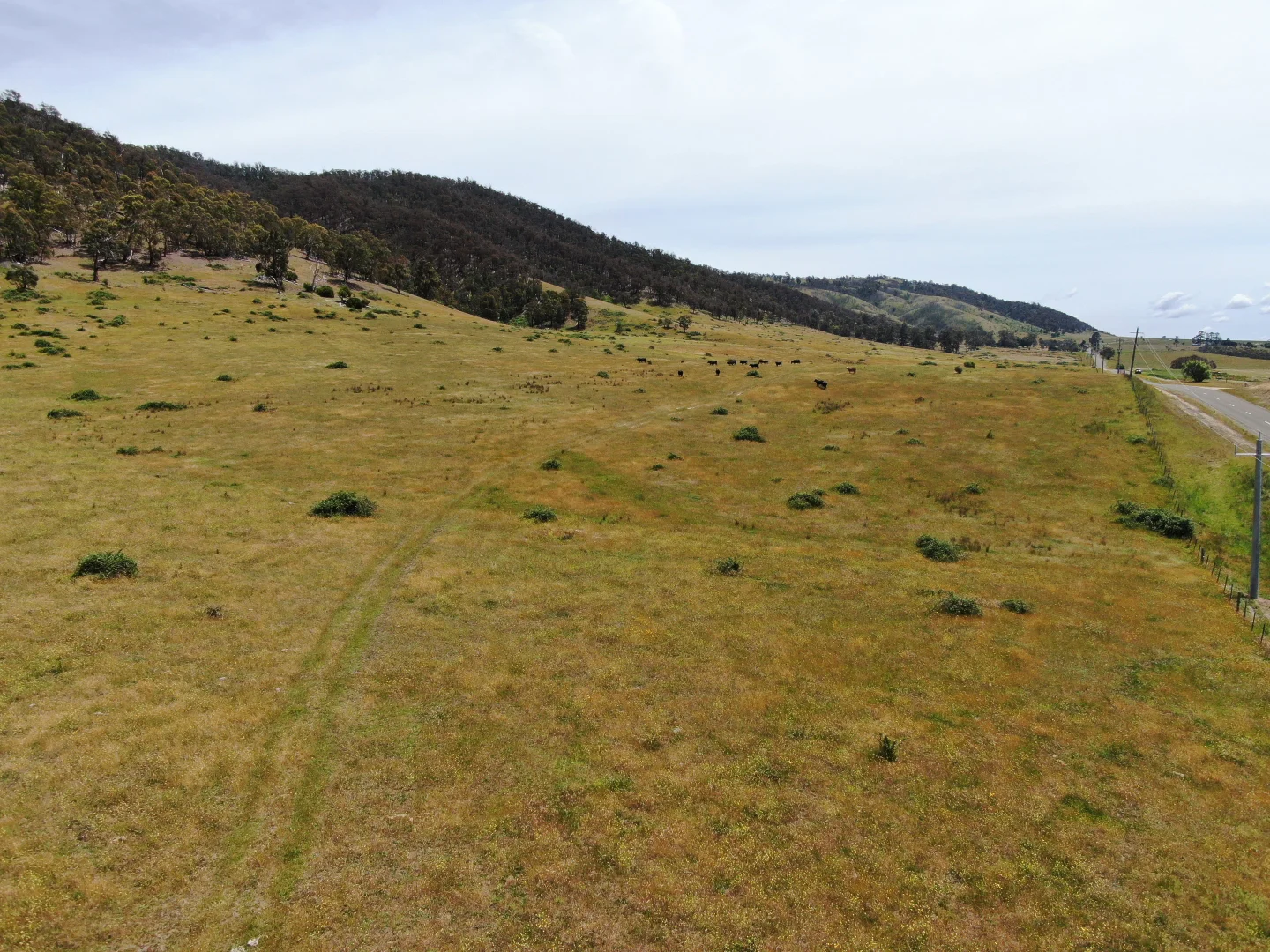 Additional image 3 of 333 Omeo Valley Road, Omeo VIC 3898