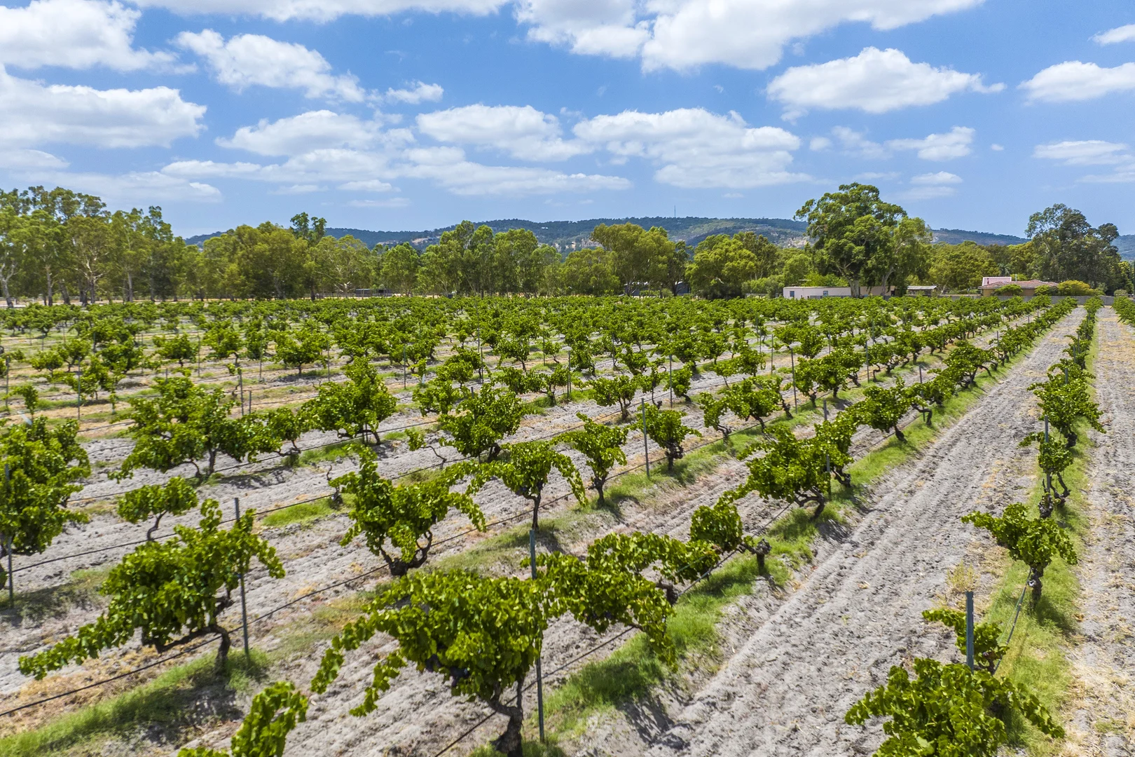 Additional image 53 of 301 Padbury Avenue, Millendon WA 6056