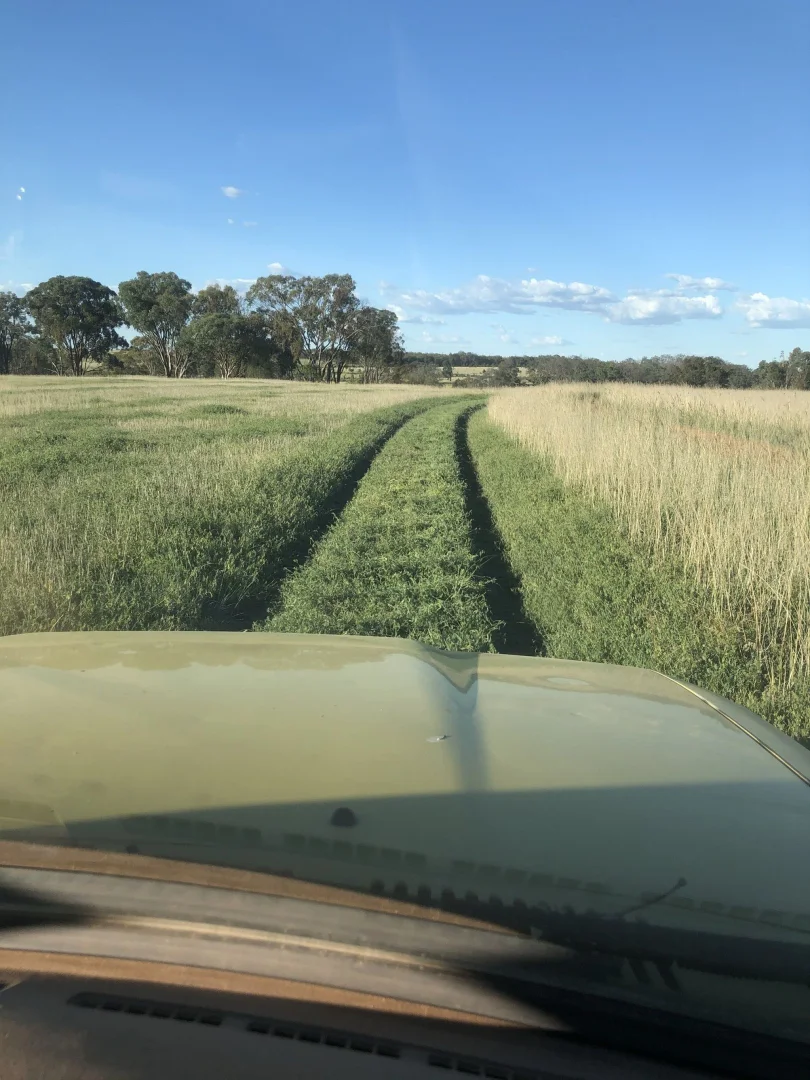 Additional image 25 of 325 Toorawandi Road, Ulamambri NSW 2357