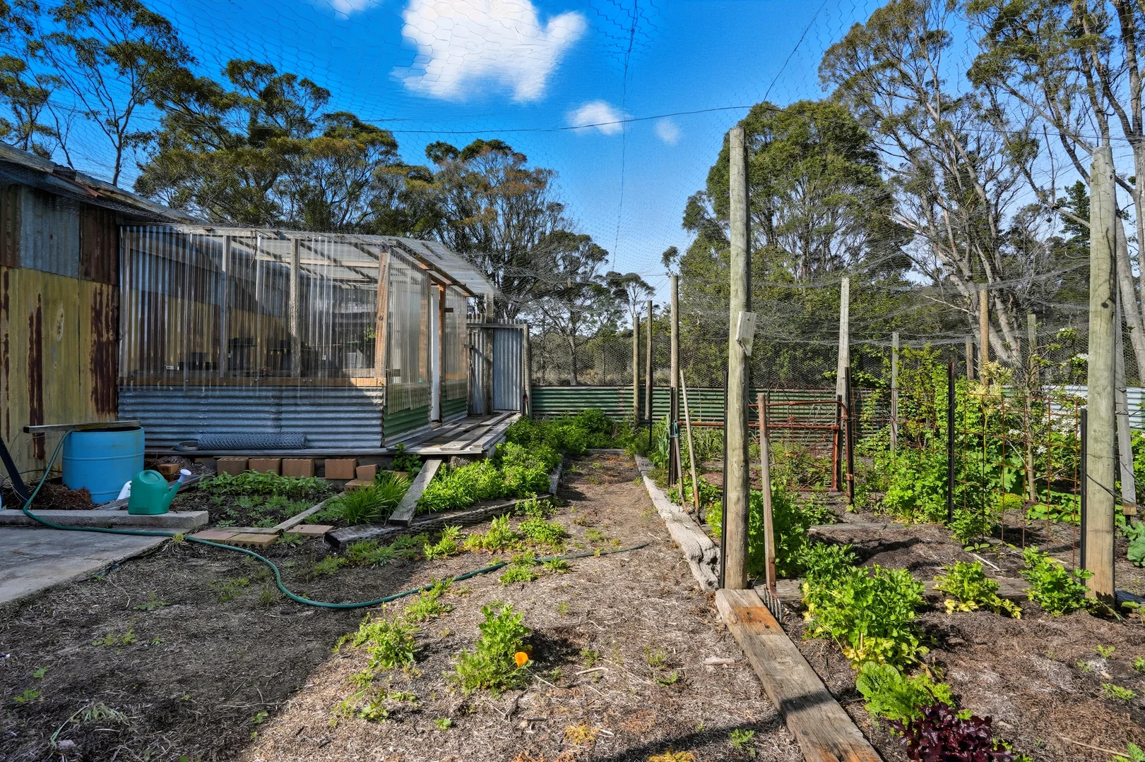 Additional image 24 of 886 North Ansons Road, Gladstone TAS 7264