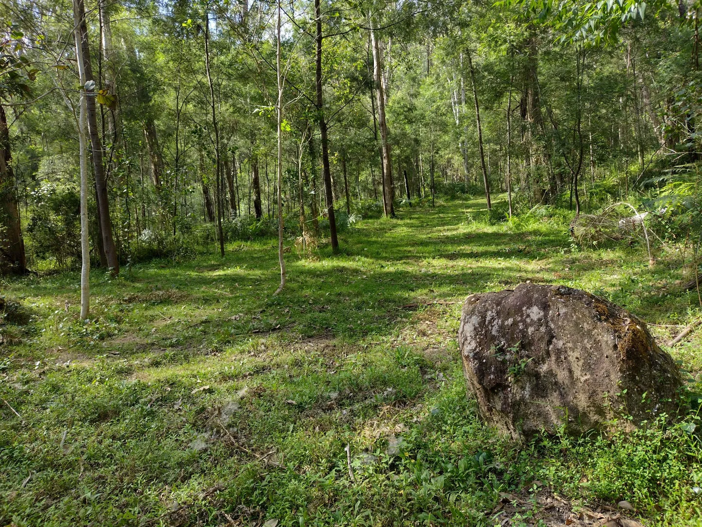 Additional image 28 of 75 L3 Private Access, Laguna NSW 2325