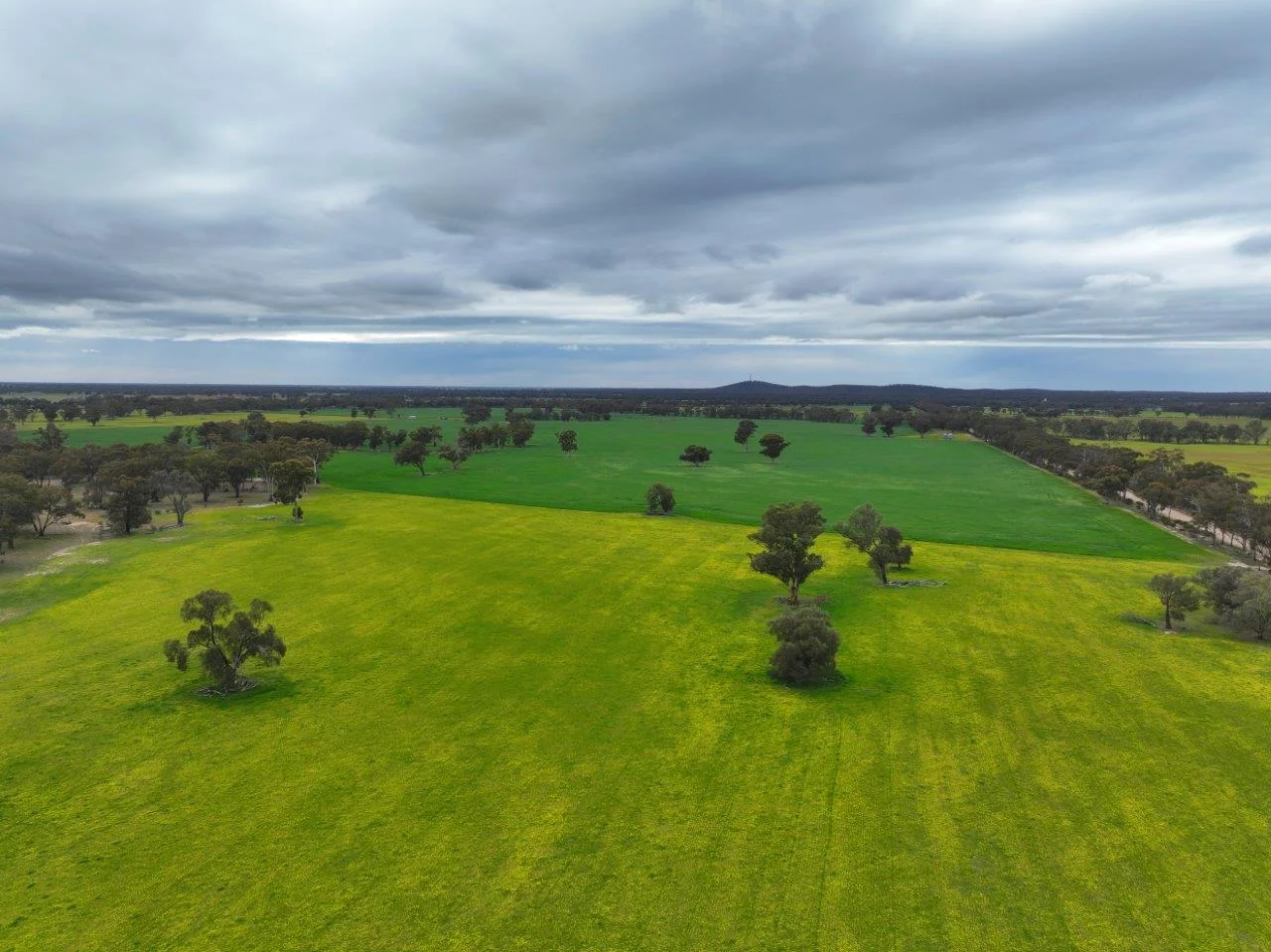 Additional image 6 of -- Brenanah-Kurting Road, Kurting VIC 3517