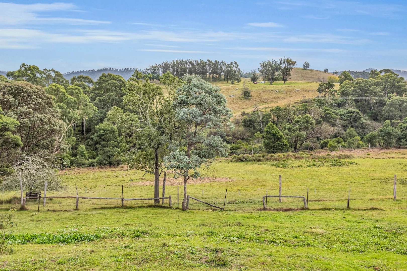 Additional image 4 of Lot 2&3 New Buildings Road, Wyndham NSW 2550