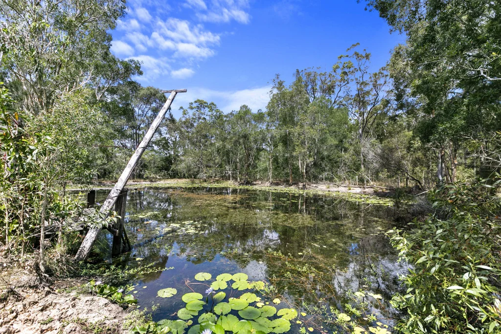 Additional image 8 of 51 Old Coach Road, Oakhurst QLD 4650