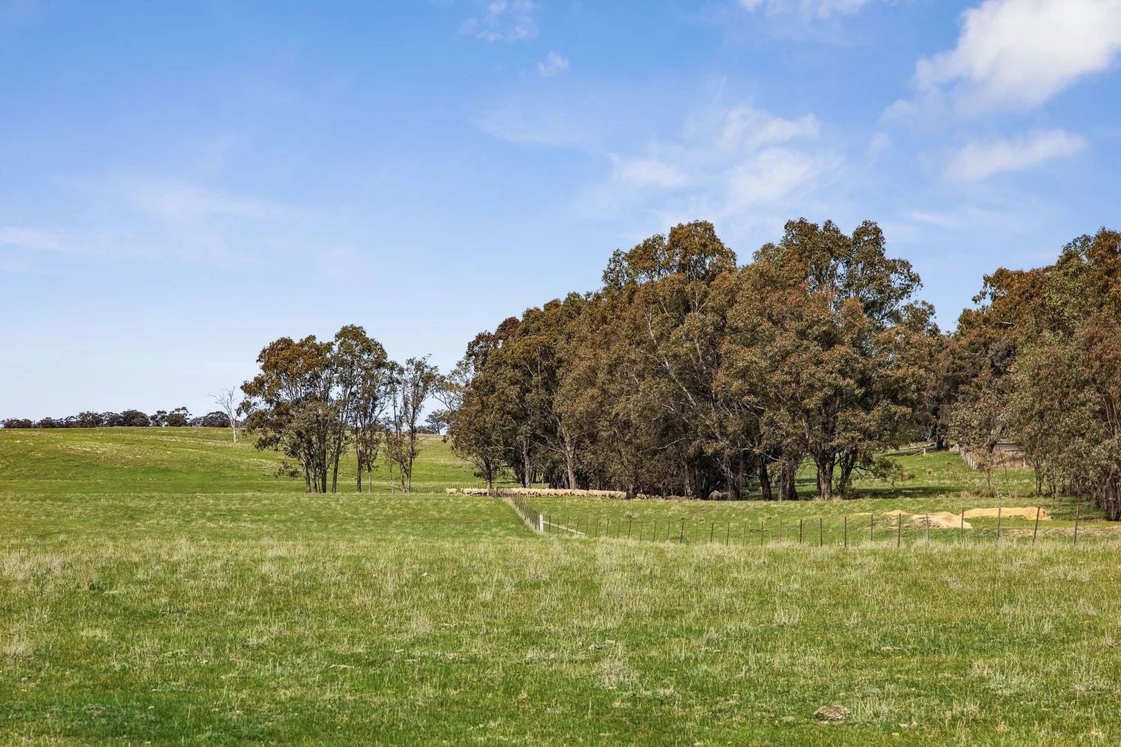 Additional image 10 of Parcels A & B Heathcote-Springs Plains & Wild Duck Roads, Mia Mia VIC 3444