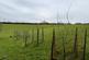 Additional image 13 of Velindre, Llandysul