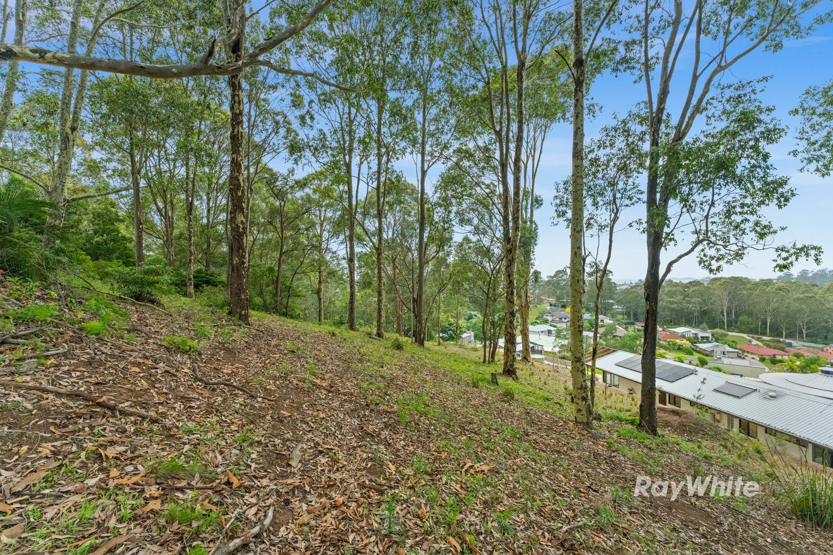 Additional image 12 of 33 Berrima Street, Catalina NSW 2536