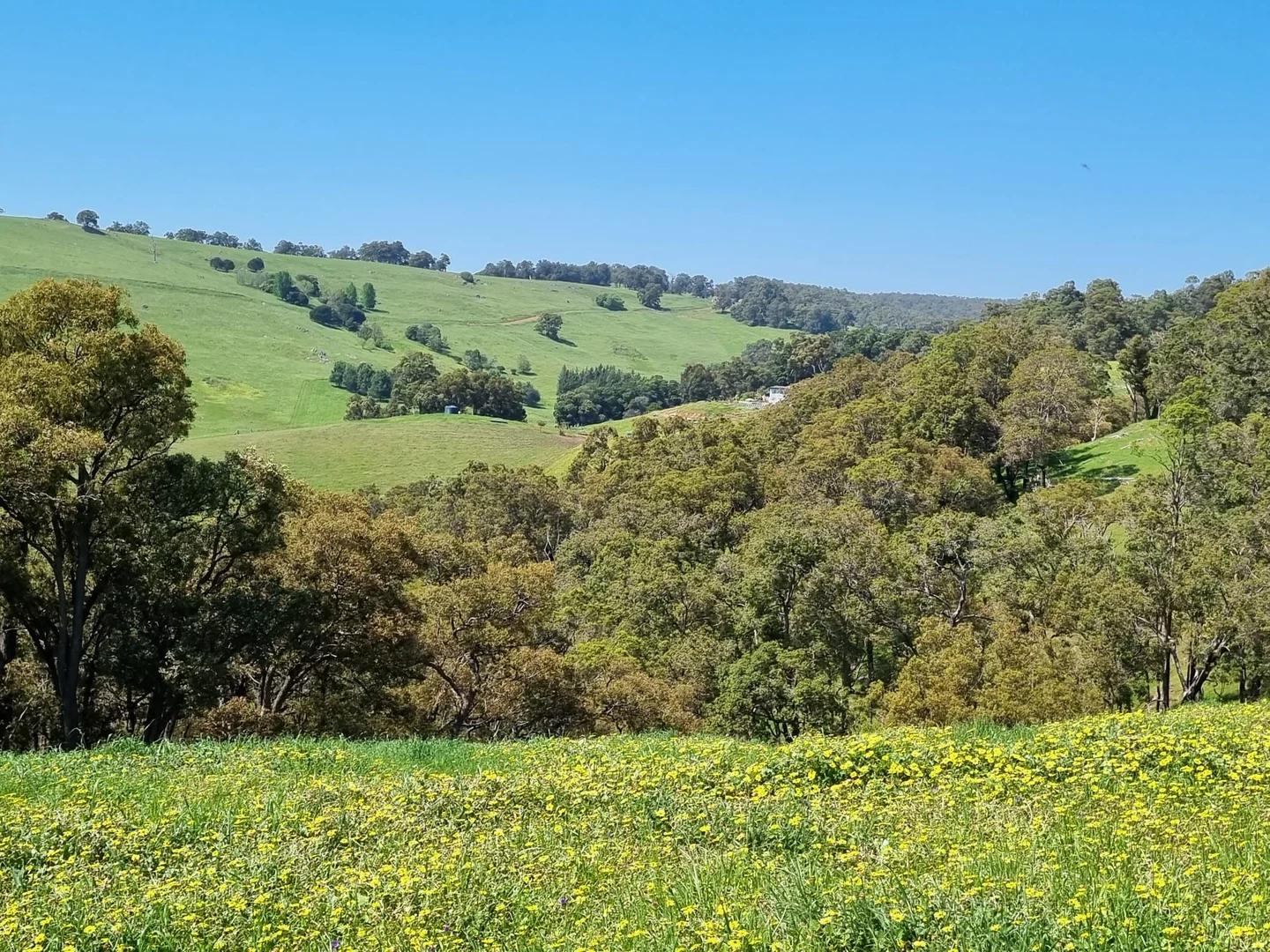 Additional image 9 of Lot 8 Catalano Road, Burekup WA 6227