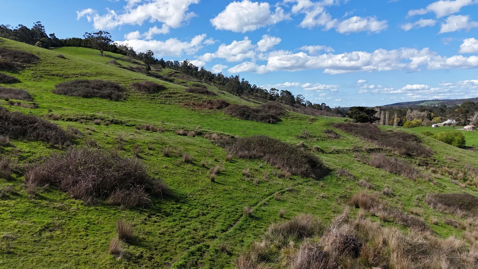 Additional image 13 of 141 BUNDERRA DRIVE, Boolarra VIC 3870