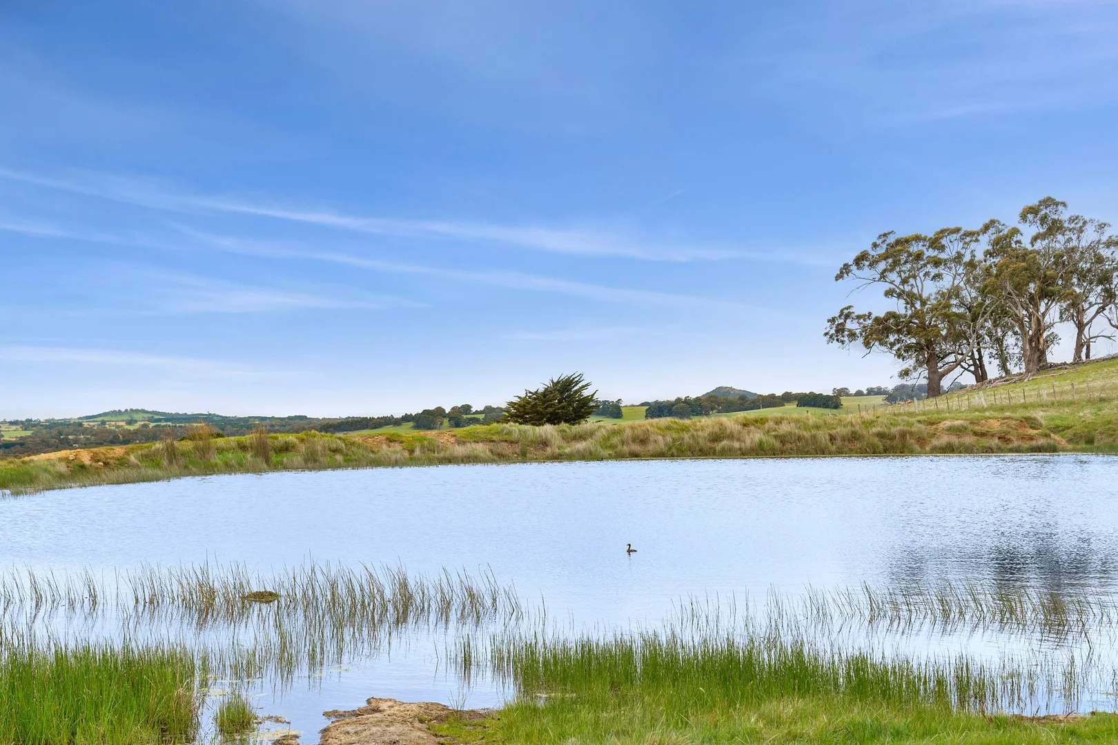 Additional image 10 of 1067 Rochford Road, Newham VIC 3442