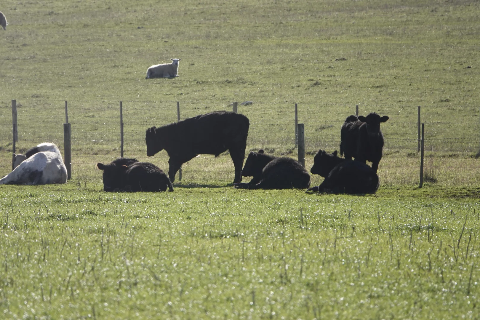 Additional image 7 of 75 Duckhole Flat Road, German Flat SA 5280
