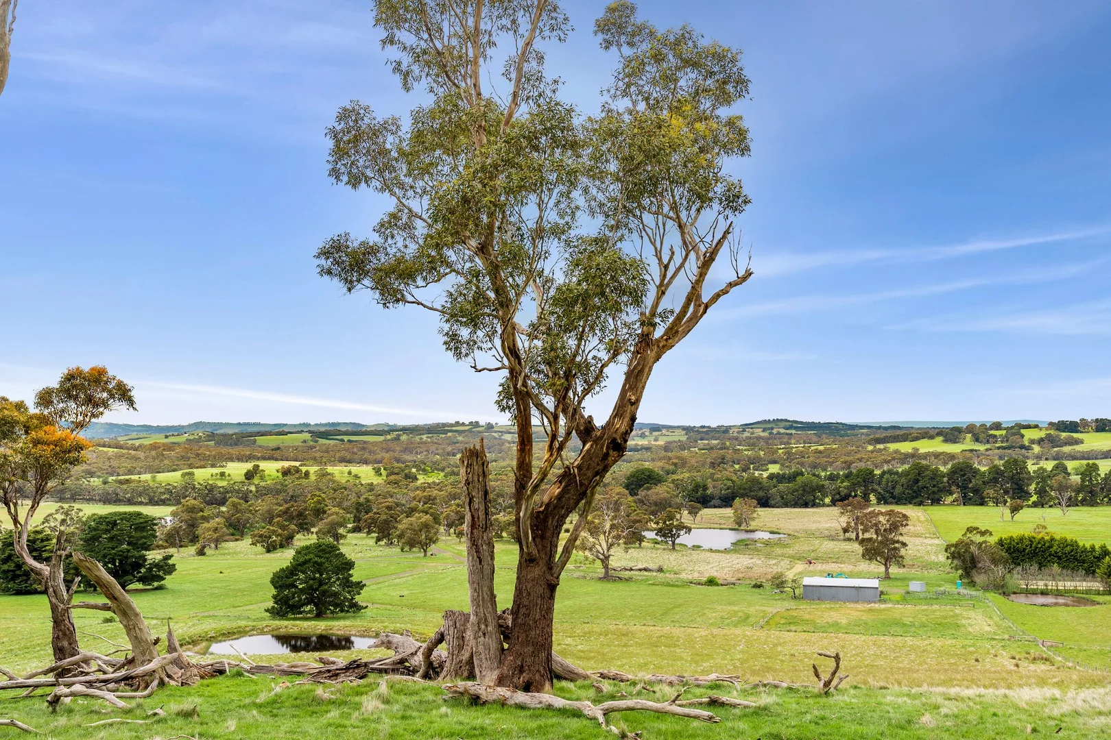 Additional image 5 of 1067 Rochford Road, Newham VIC 3442