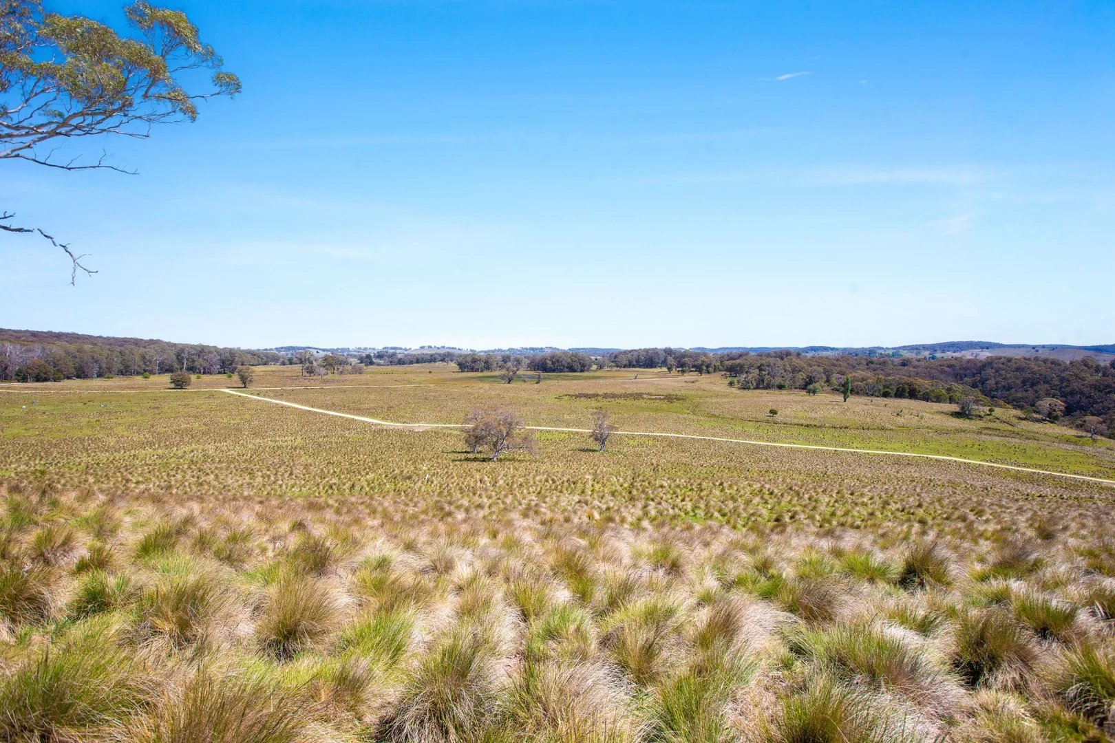 Additional image 12 of Thornleigh Coolangubra Road, Cathcart NSW 2632