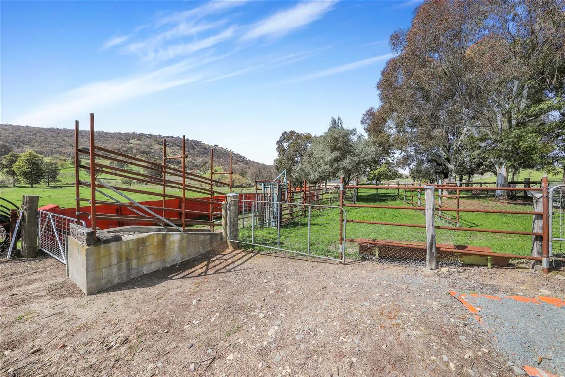 Additional image 26 of 456 Grahamstown Road, Adelong NSW 2729