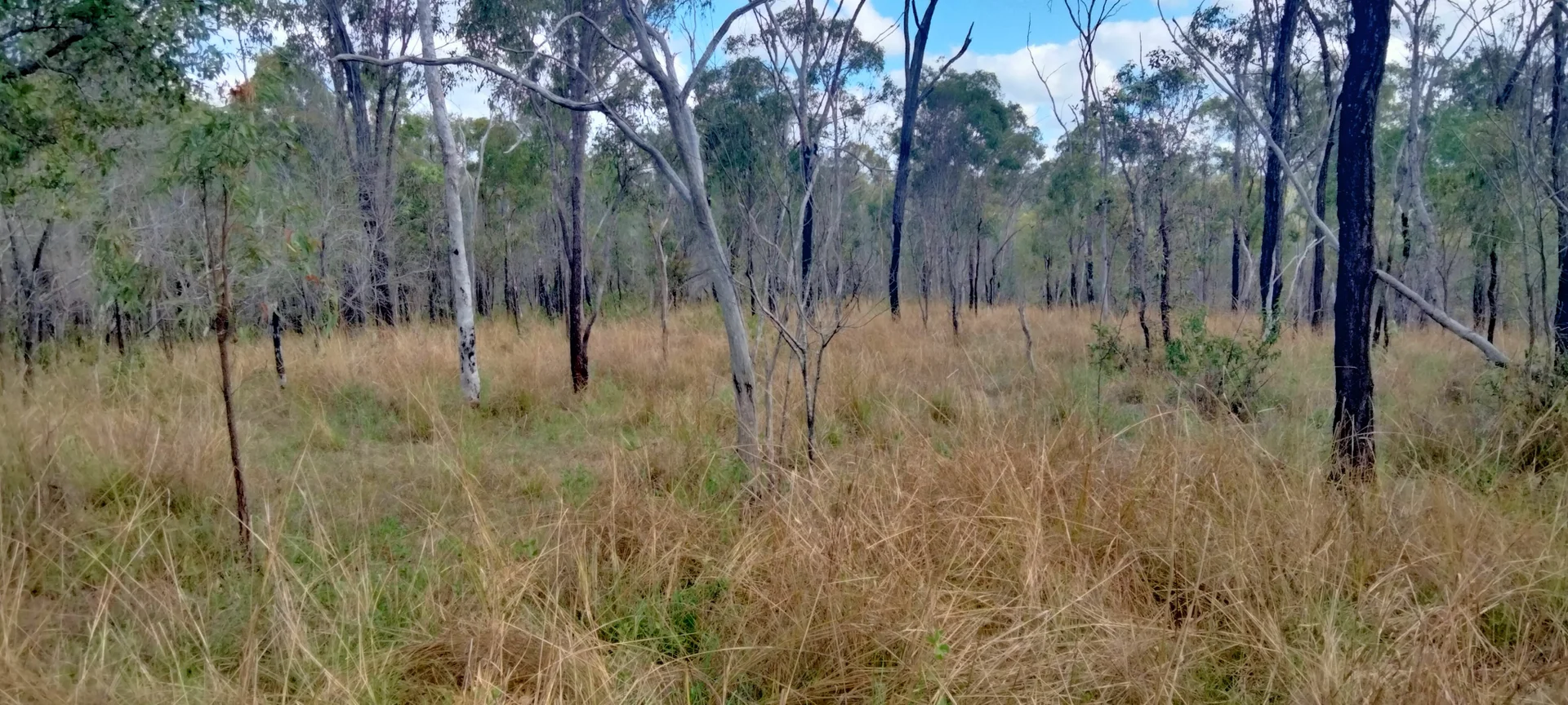 Additional image 4 of 3359 Lowmead Road, Lowmead QLD 4676