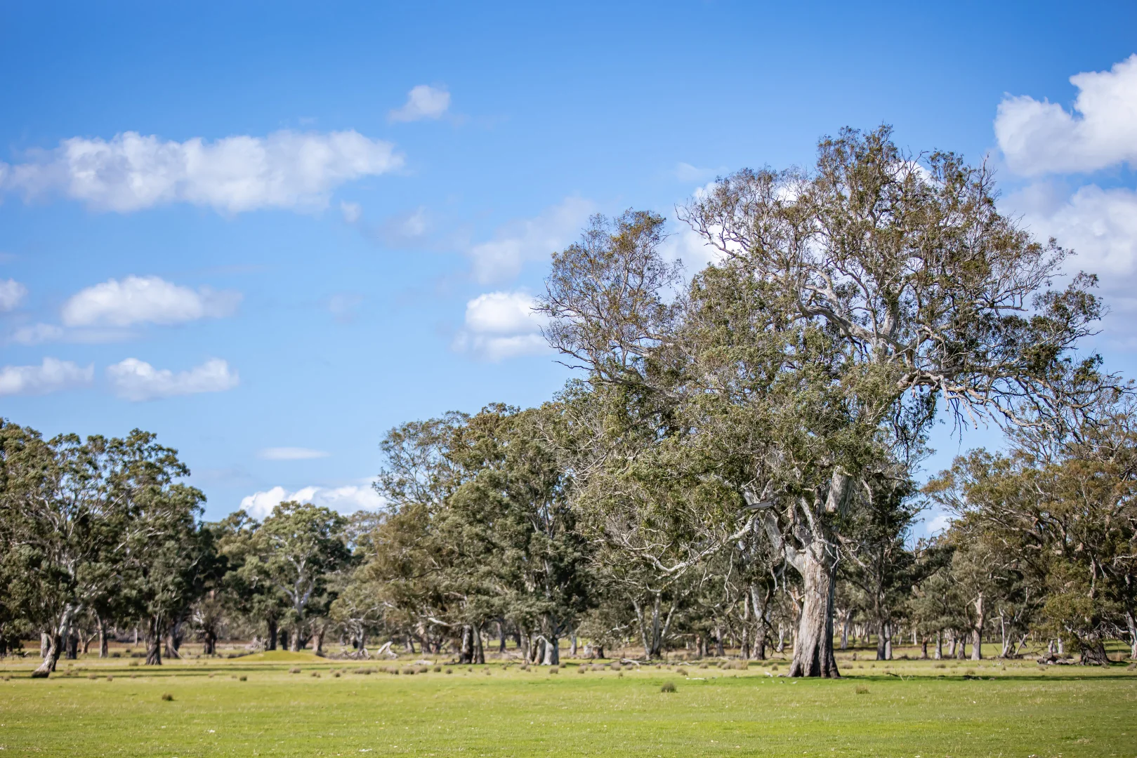 Additional image 11 of 219 Ockley Rd, Comaum SA 5277