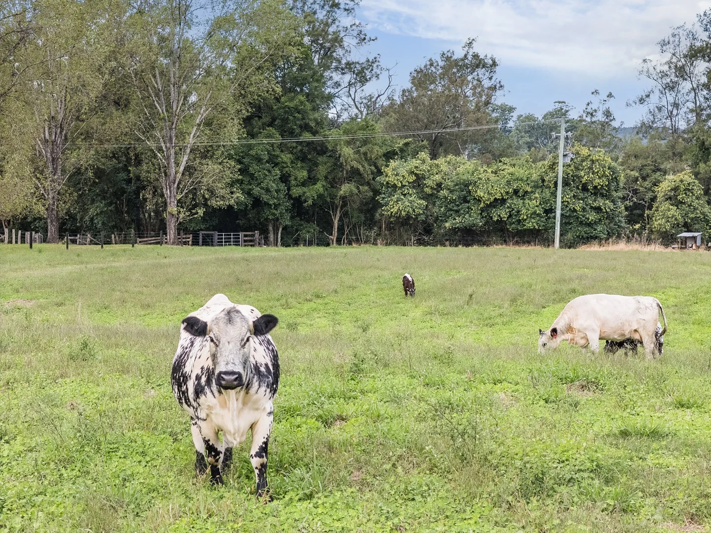 Additional image 4 of 1301 Chichester Dam Road, Bandon Grove, Via, Dungog NSW 2420