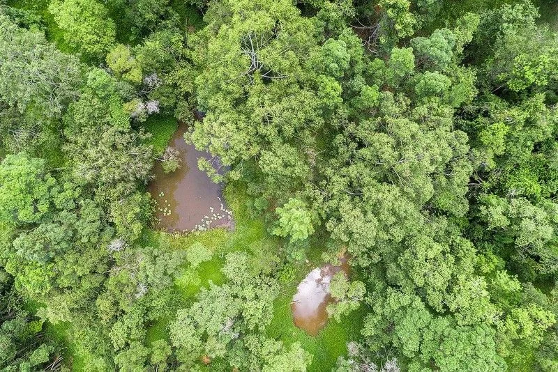 Additional image 22 of 20 Pacific View Drive, Tinbeerwah QLD 4563