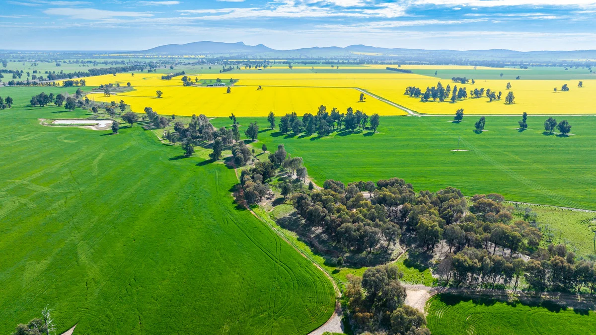 Additional image 4 of Olympic Highway, Yerong Creek NSW 2642