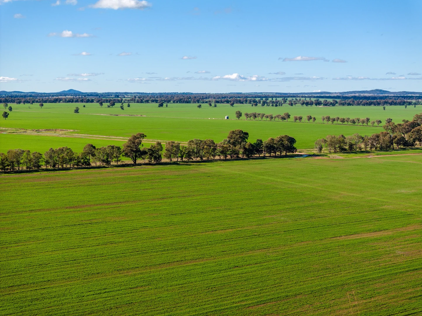 Additional image 3 of 795 Younga Plains Rd, West Wyalong NSW 2671