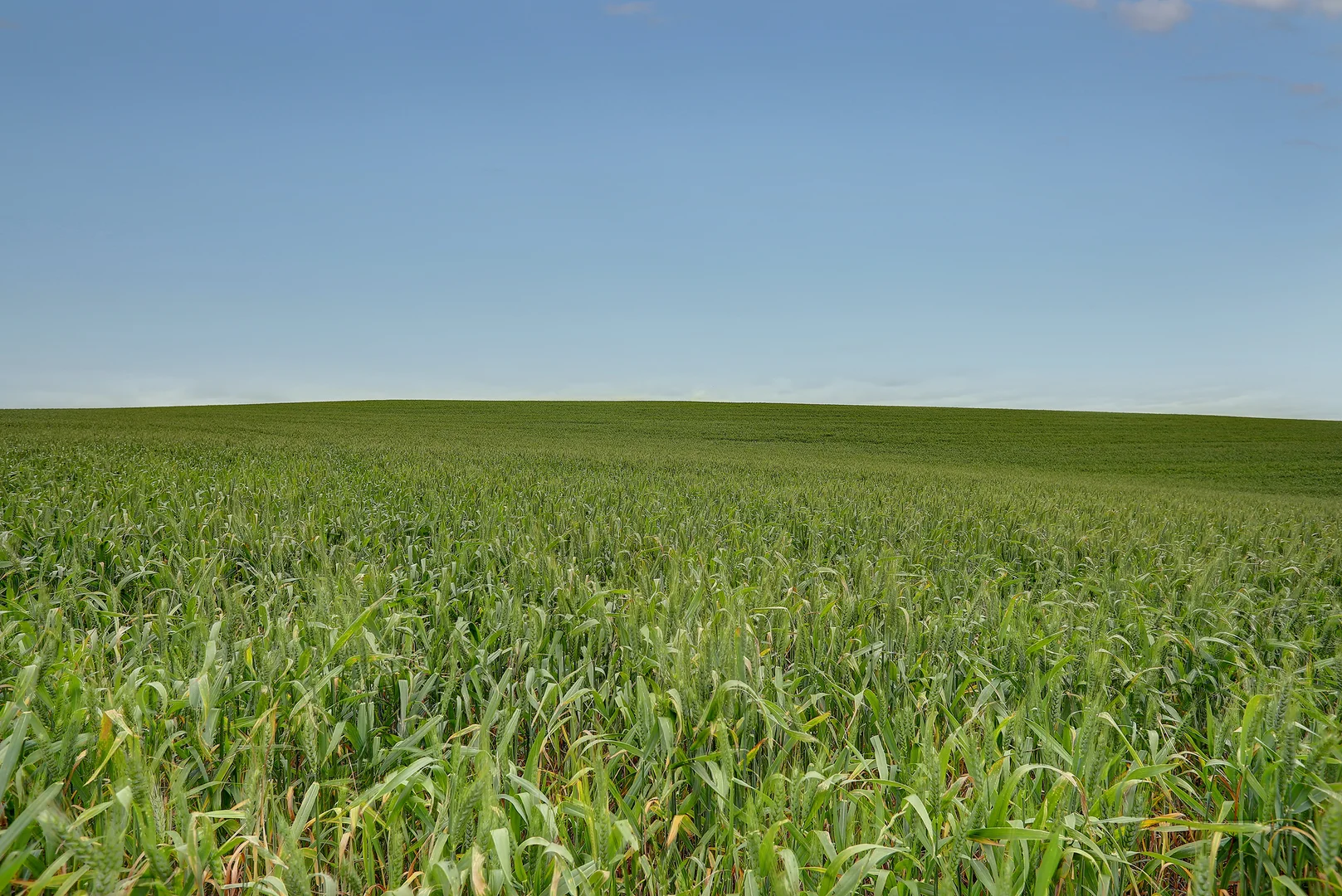 Additional image 21 of 84 Lovegrove Lane, Whites Flat SA 5607