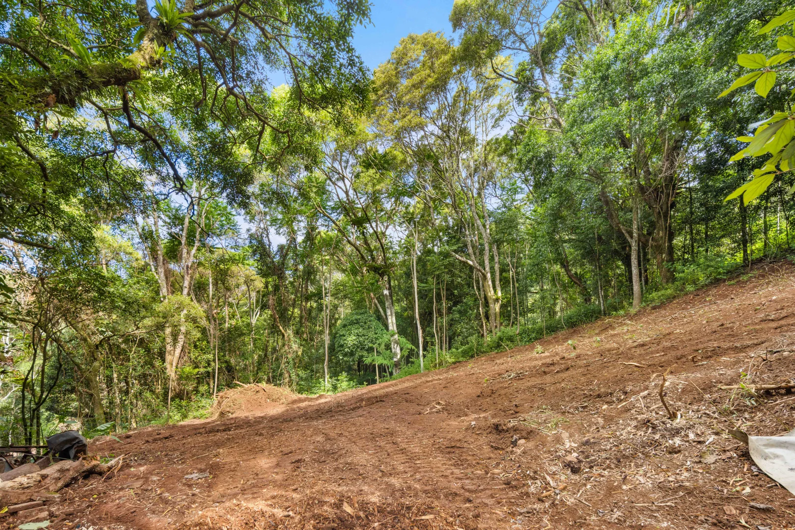 Additional image 16 of 2481 Springbrook Road, Springbrook QLD 4213