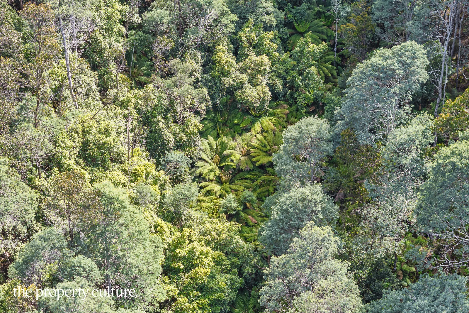 Additional image 25 of 1, 2 & 3 Bakers Creek Rd, Lucaston TAS 7109