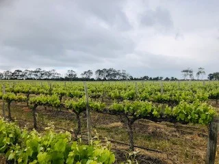 Additional image 2 of 634 Lake Plains Road, Lake Plains SA 5255