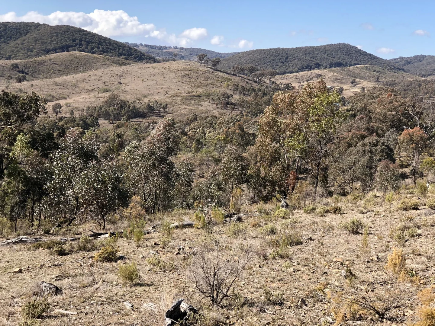 Additional image 16 of 594 Pyramul Road, Windeyer NSW 2850