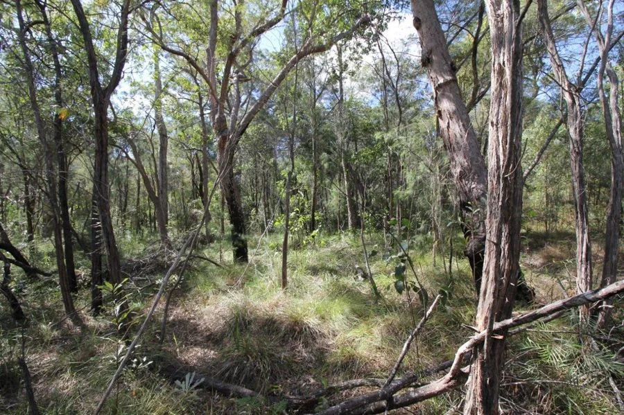 Additional image 30 of 492 Capricornia Drive, Deepwater QLD 4674