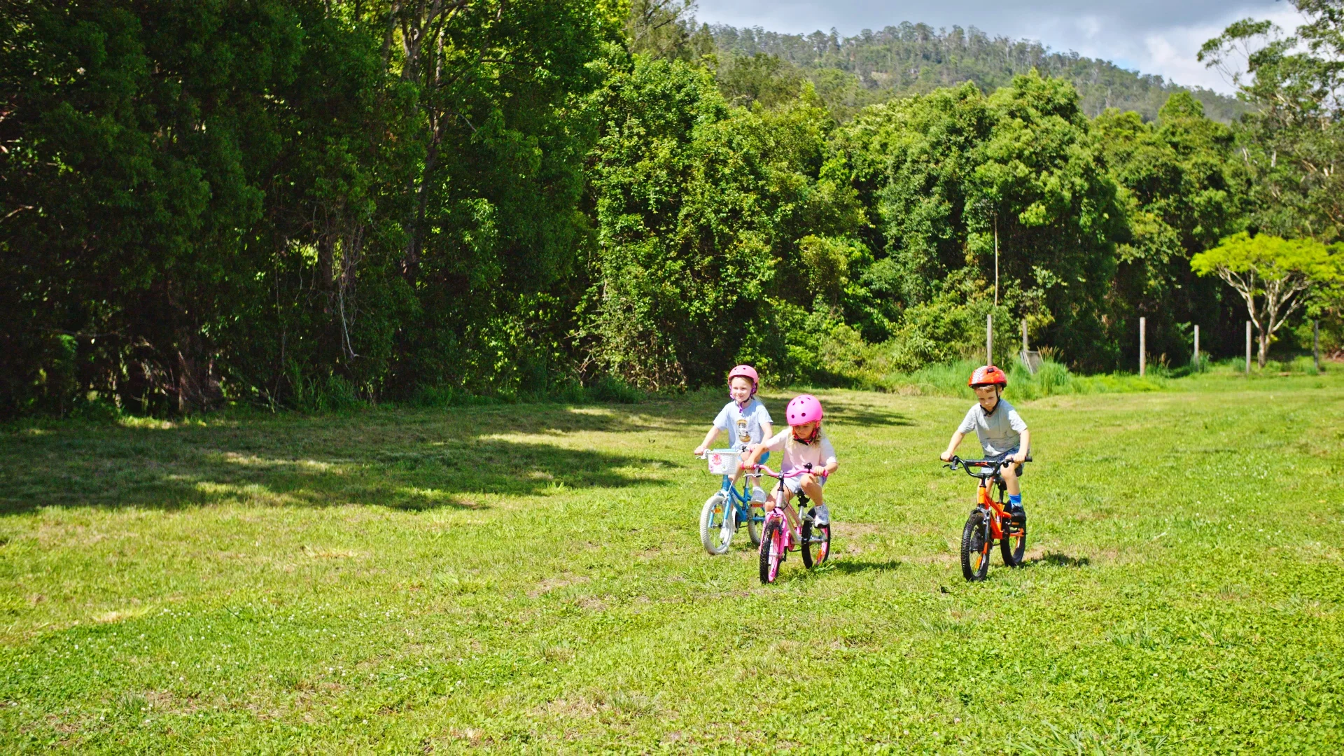 Additional image 24 of 2981 Kyogle Road, Kunghur NSW 2484