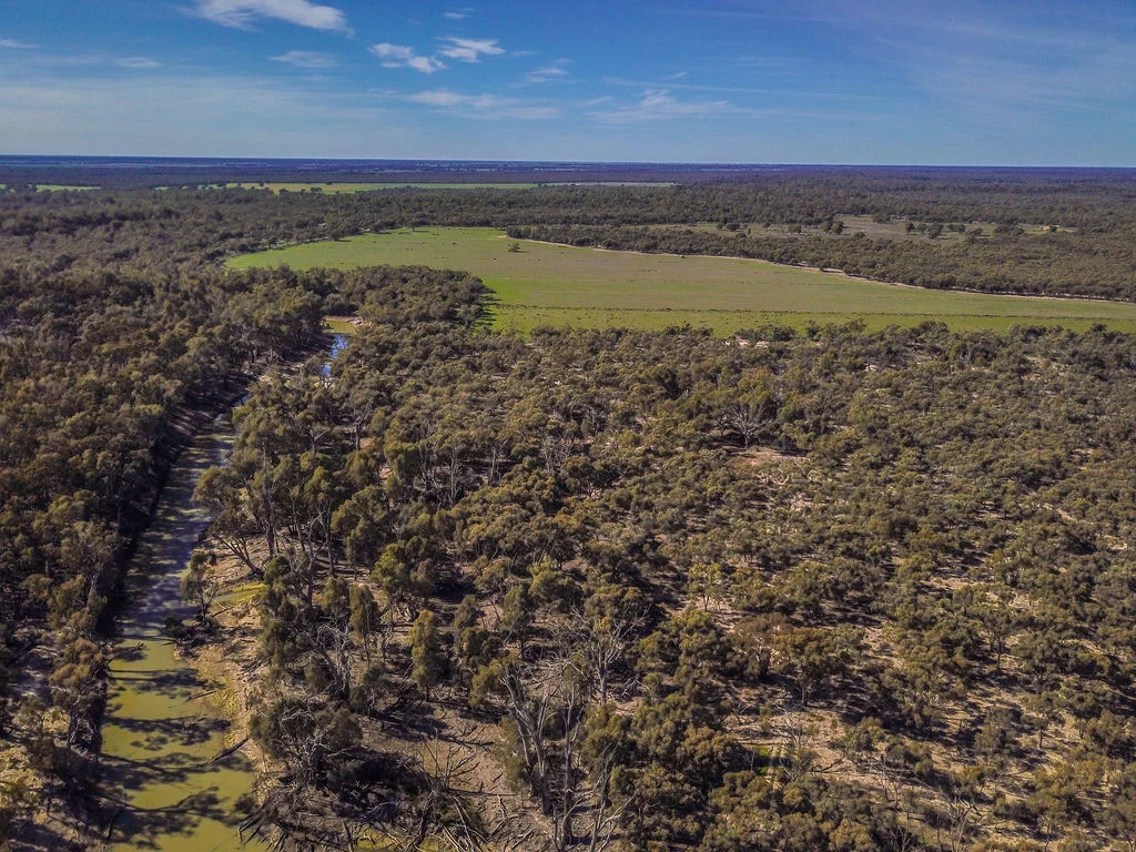 Additional image 28 of 'Wetuppa' 245 Fisher Lane, Wetuppa NSW 2734