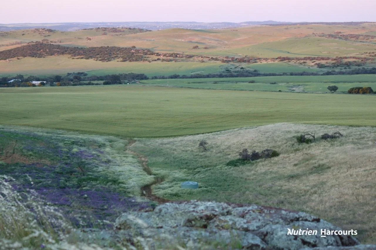 Additional image 9 of Lot 4 Larard Road, Sandy Gully WA 6535