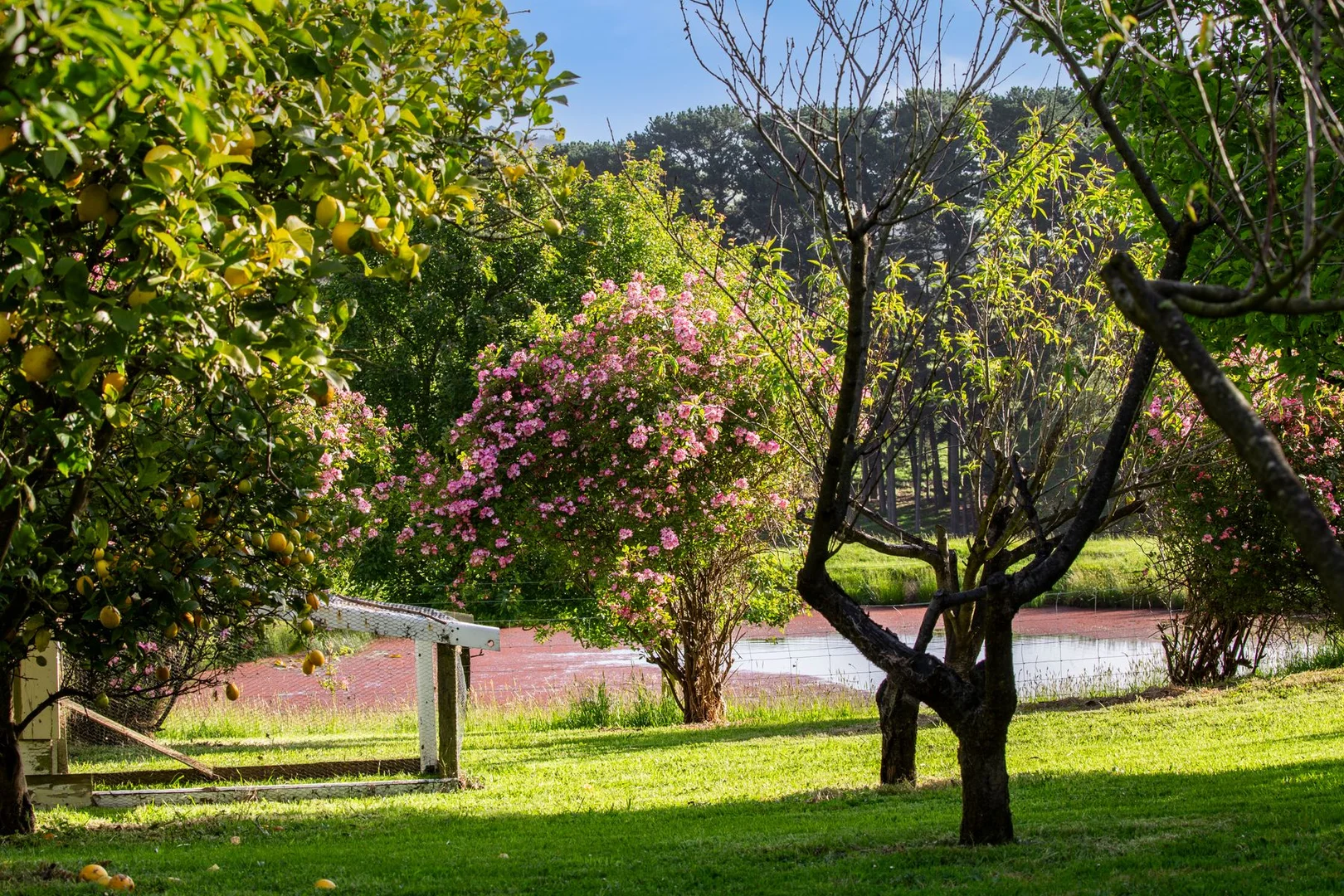 Additional image 37 of 3100 South Gippsland Highway, Foster North VIC 3960
