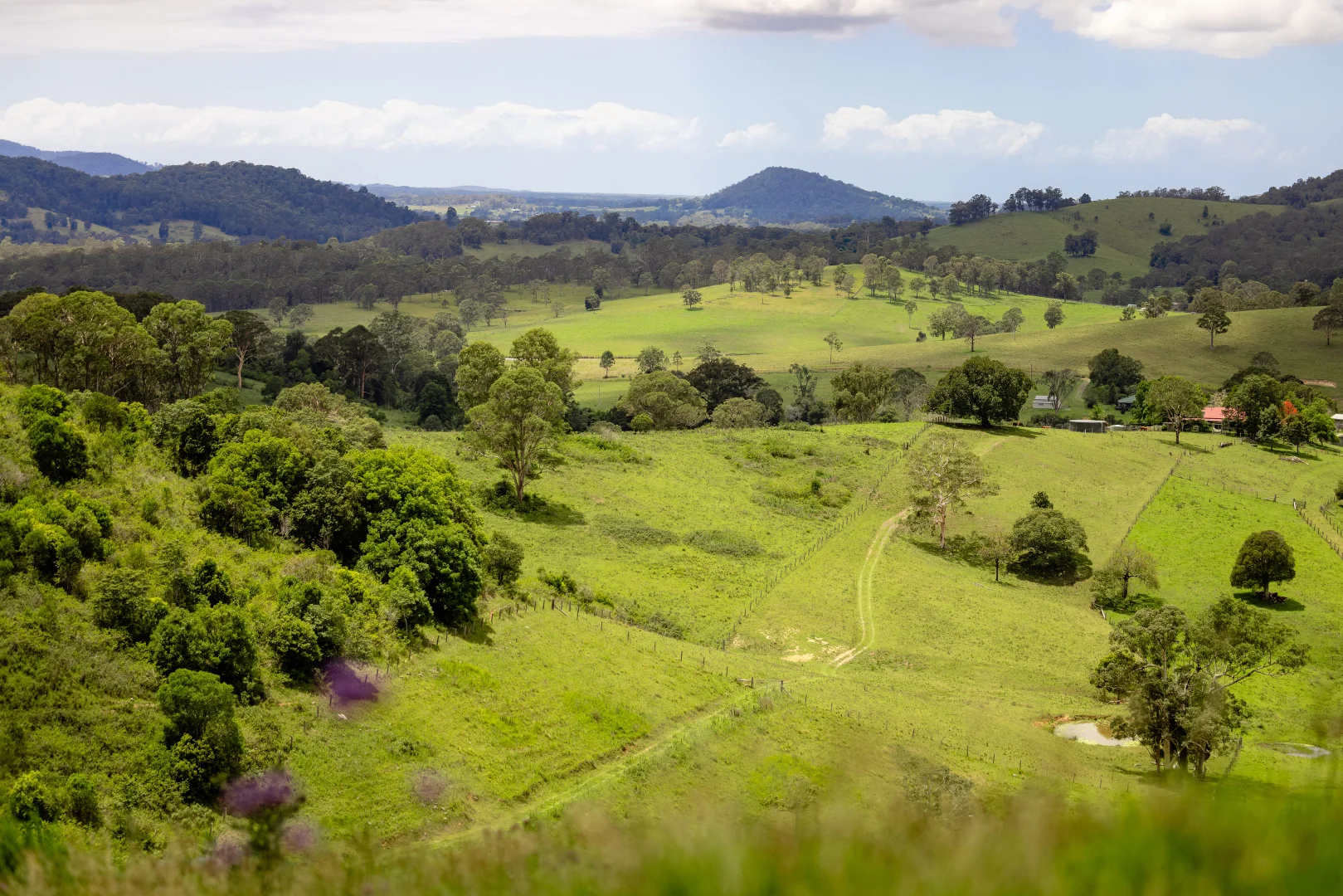 Additional image 10 of 39 Sambells Road, Firefly NSW 2429