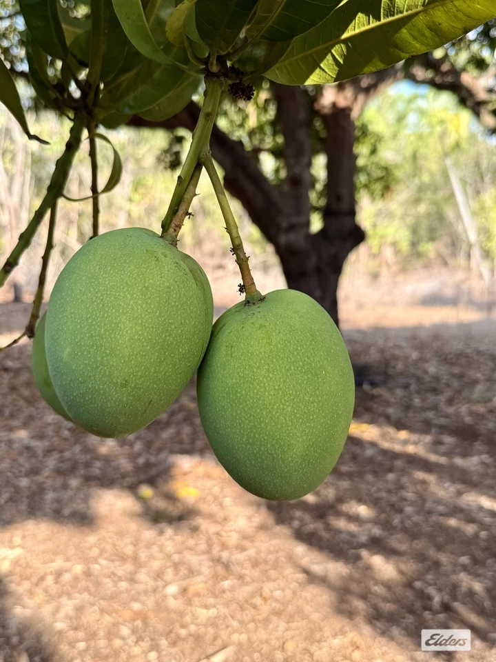 Additional image 16 of 80 & 100 Russ Road, Tumbling Waters NT 0822