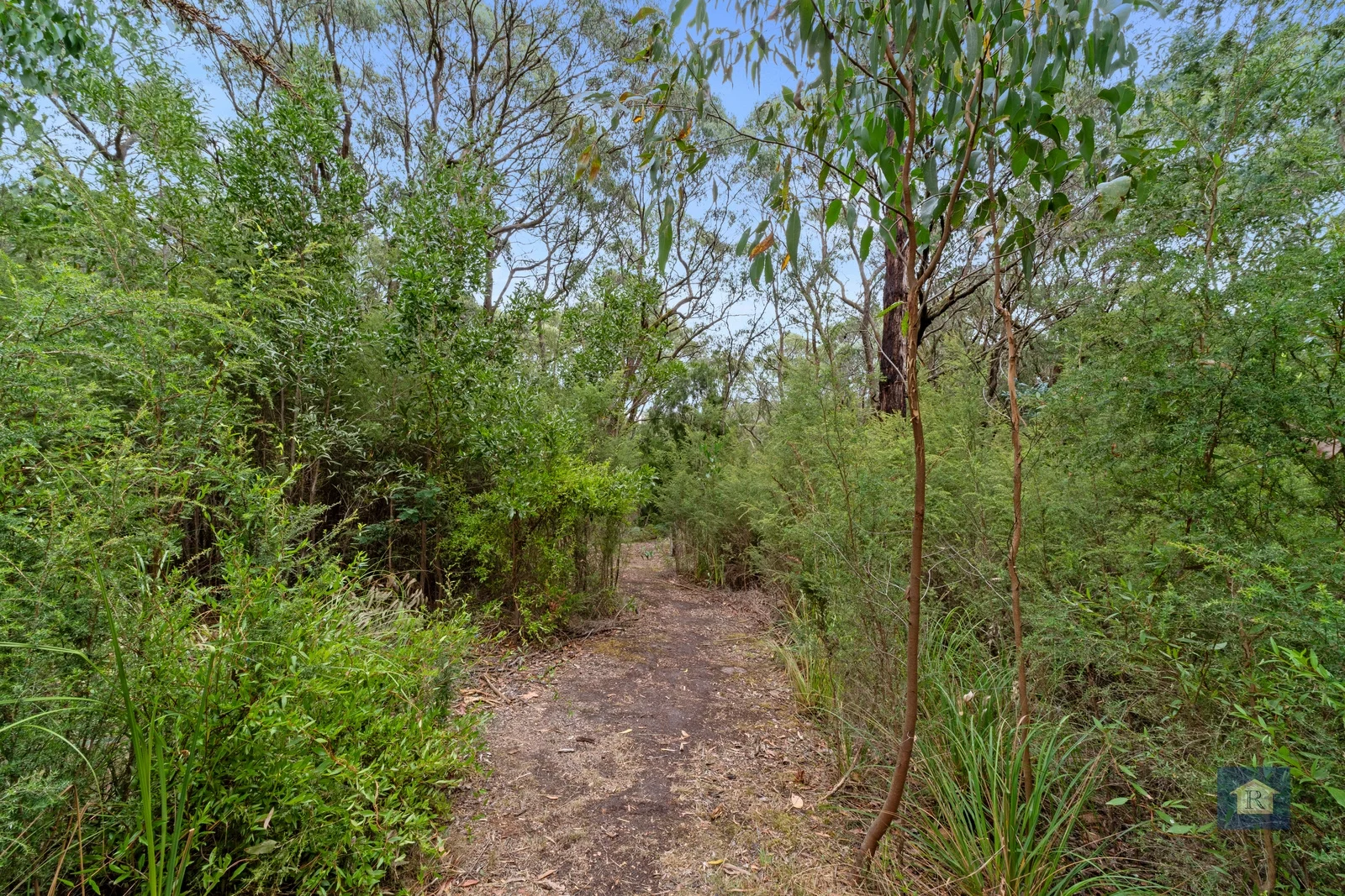 Additional image 12 of 80 Bull Hill Road, Kawarren VIC 3249