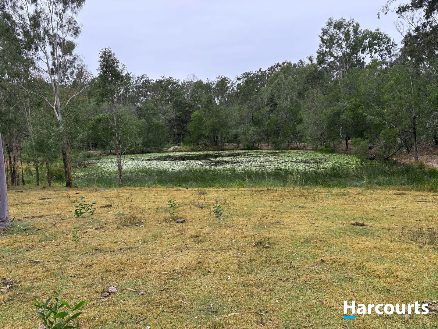 Additional image 7 of Lot 38 TENNINGERING ROAD, Good Night QLD 4671